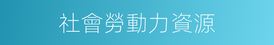 社會勞動力資源的同義詞