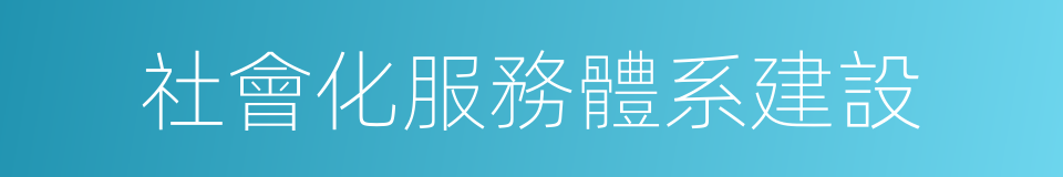 社會化服務體系建設的同義詞