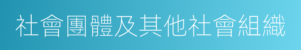 社會團體及其他社會組織的同義詞