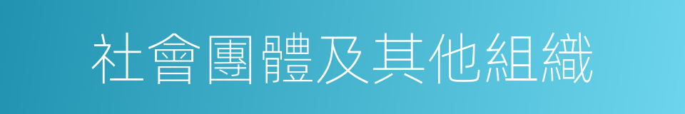 社會團體及其他組織的同義詞