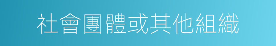 社會團體或其他組織的同義詞