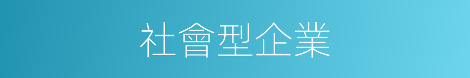 社會型企業的同義詞