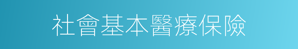 社會基本醫療保險的同義詞