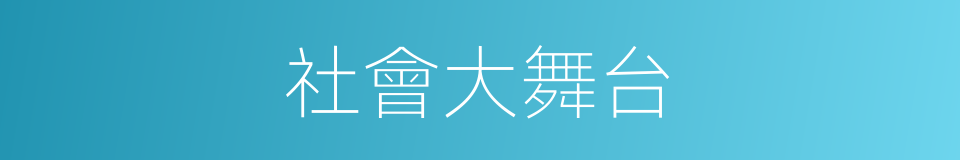 社會大舞台的同義詞