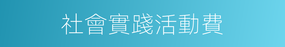 社會實踐活動費的同義詞