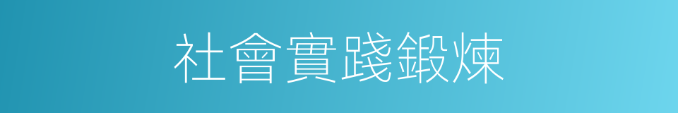 社會實踐鍛煉的同義詞