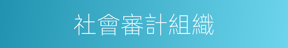 社會審計組織的同義詞