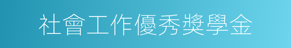 社會工作優秀獎學金的同義詞