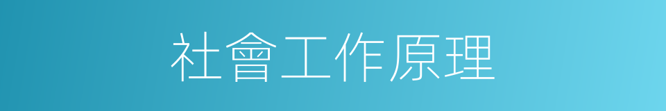 社會工作原理的同義詞