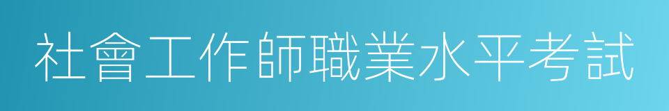 社會工作師職業水平考試的同義詞