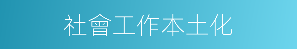 社會工作本土化的同義詞