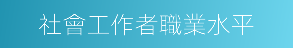 社會工作者職業水平的同義詞