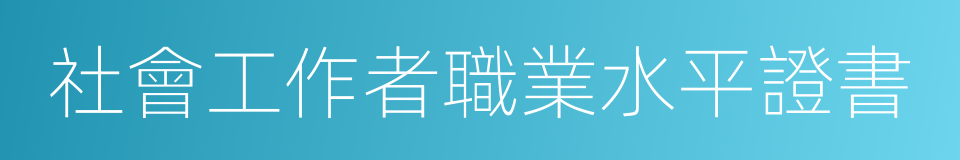 社會工作者職業水平證書的同義詞