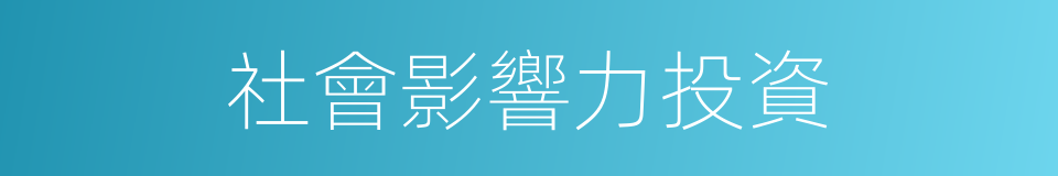 社會影響力投資的同義詞