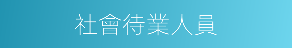 社會待業人員的同義詞