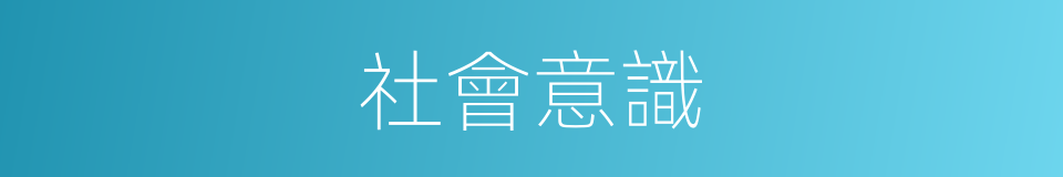 社會意識的意思