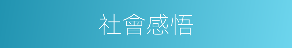 社會感悟的同義詞