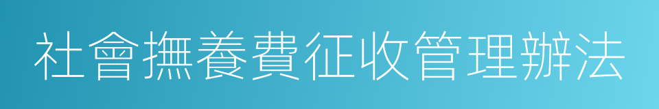 社會撫養費征收管理辦法的同義詞