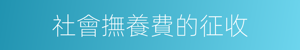 社會撫養費的征收的同義詞