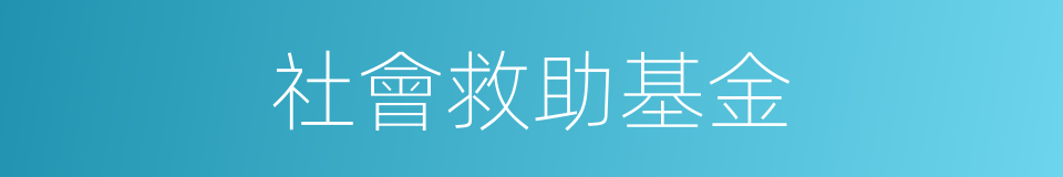 社會救助基金的同義詞