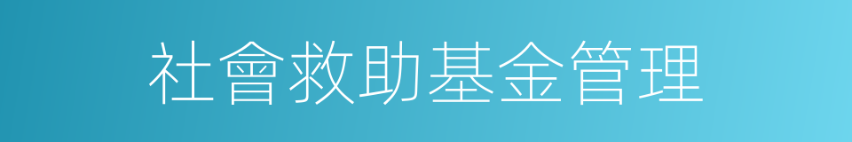 社會救助基金管理的同義詞