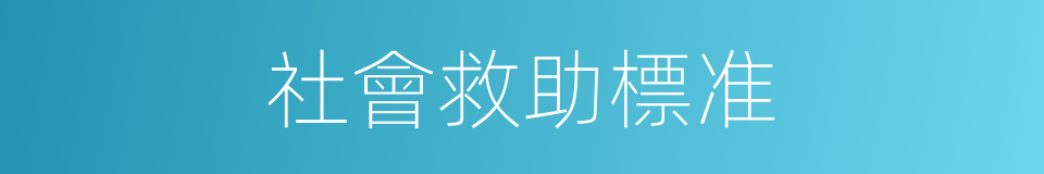 社會救助標准的同義詞