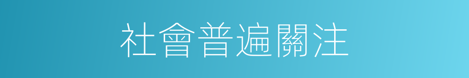 社會普遍關注的同義詞
