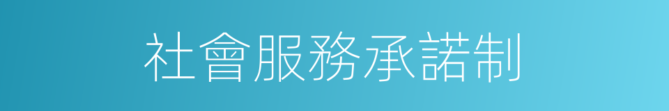 社會服務承諾制的同義詞