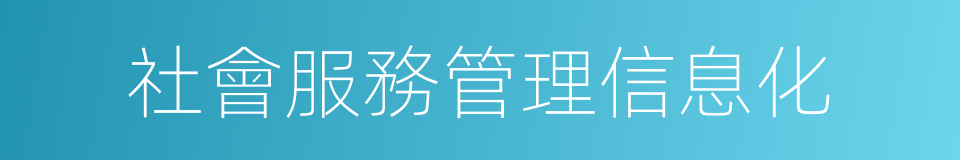 社會服務管理信息化的同義詞