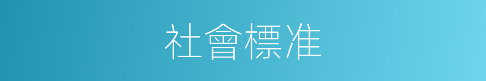社會標准的同義詞