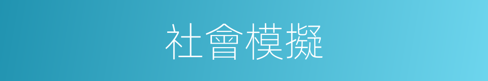 社會模擬的同義詞