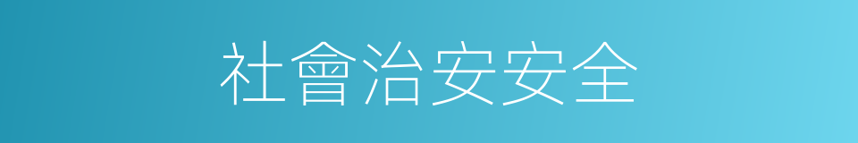 社會治安安全的同義詞