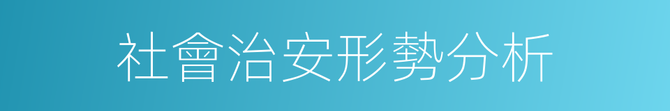 社會治安形勢分析的同義詞