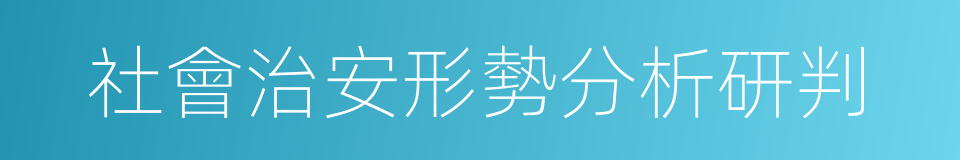 社會治安形勢分析研判的同義詞