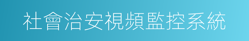 社會治安視頻監控系統的同義詞