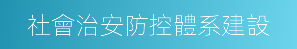 社會治安防控體系建設的同義詞