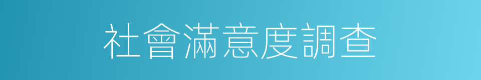 社會滿意度調查的同義詞