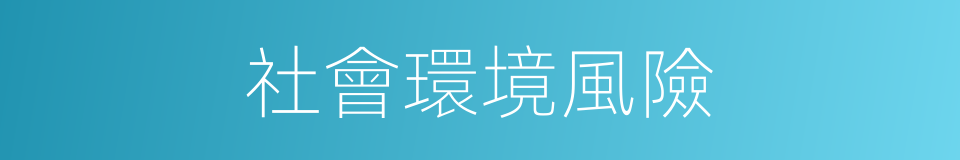 社會環境風險的同義詞