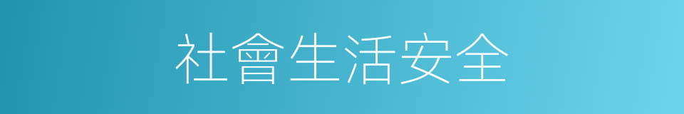 社會生活安全的同義詞