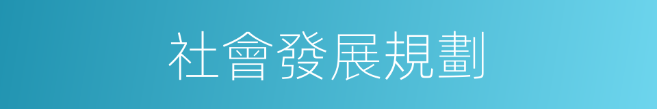 社會發展規劃的同義詞