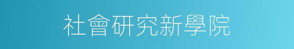 社會研究新學院的同義詞