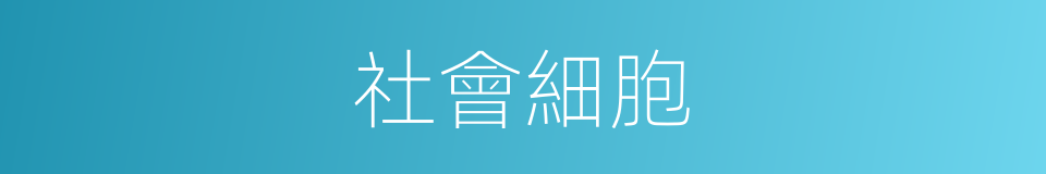 社會細胞的同義詞