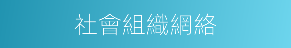 社會組織網絡的同義詞