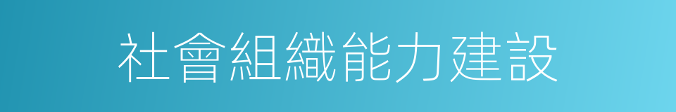 社會組織能力建設的同義詞