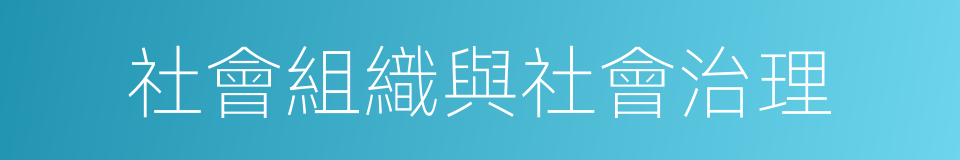 社會組織與社會治理的同義詞