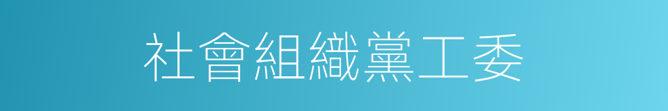 社會組織黨工委的同義詞