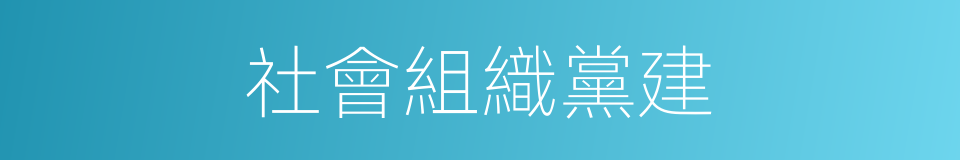 社會組織黨建的同義詞
