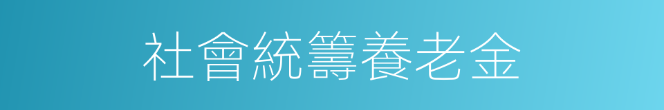 社會統籌養老金的同義詞