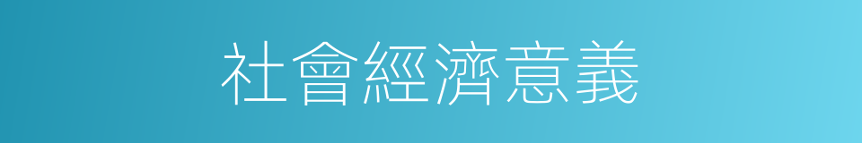 社會經濟意義的同義詞