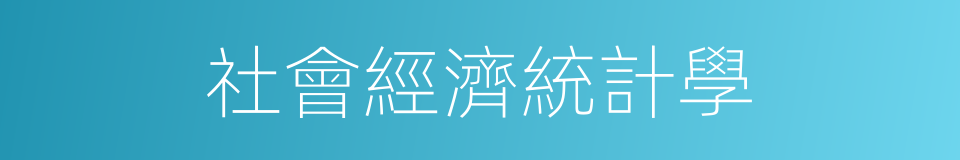 社會經濟統計學的同義詞